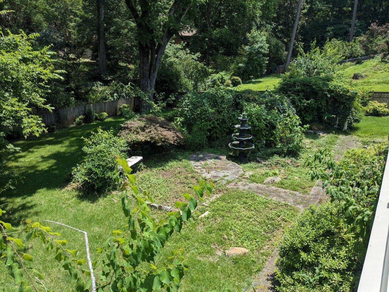 Overgrown backyard with a tiered fountain surrounded by tall grass and brush